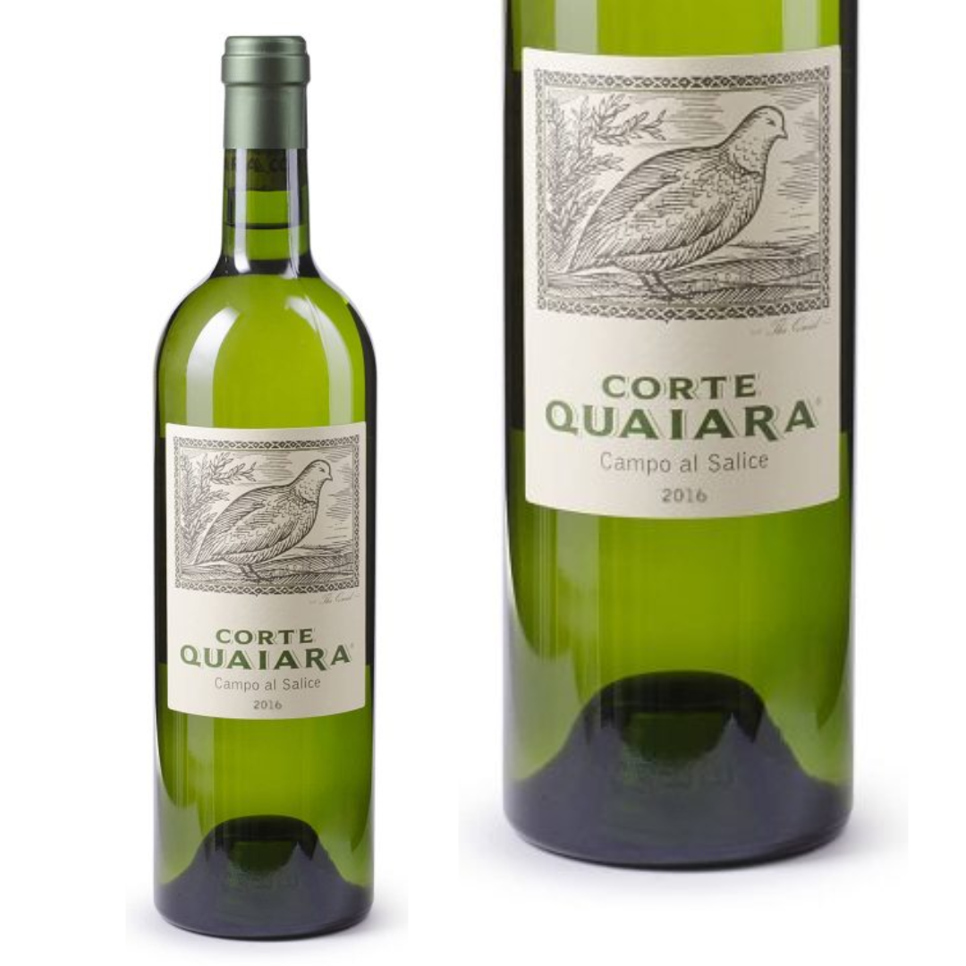 CAMPO AL SALICE 2016