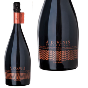 A Divinis Brut Nature