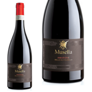 AMARONE della Valpolicella DOCG 2016