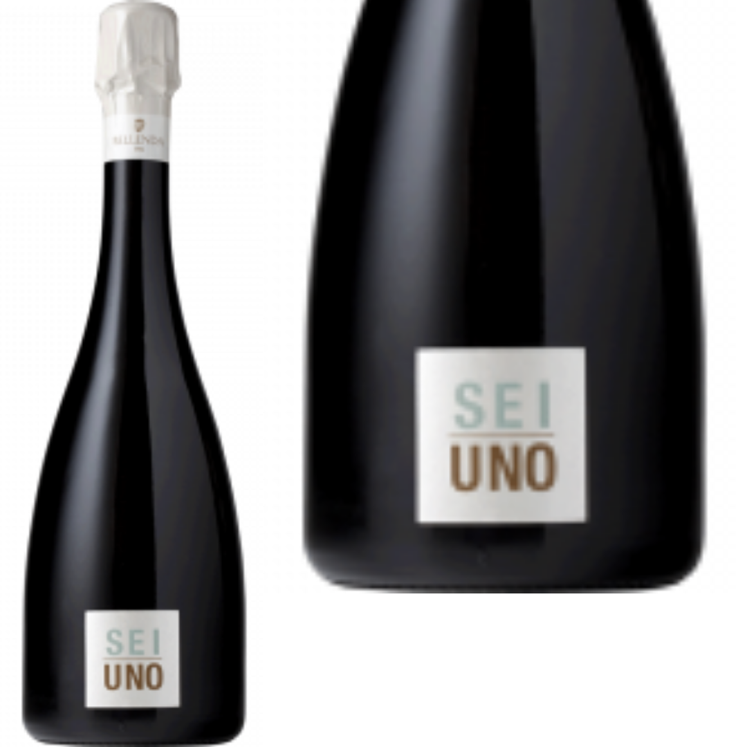 Sei Uno Prosecco Superiore Conegliano Valdobbiadene DOCG Brut Metodo Classico 2018