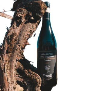 Classic Amarone della Valpolicella DOCG
