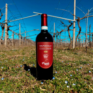 Valpolicella Classic Superior DOC