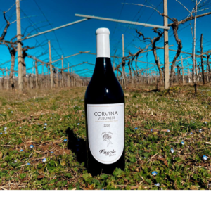 Corvina Veronese IGT extension
