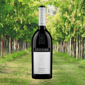 POZZETTO Valpolicella Classico DOC