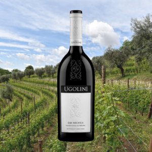 SAN MICHELE Valpolicella Classico Superiore DOC