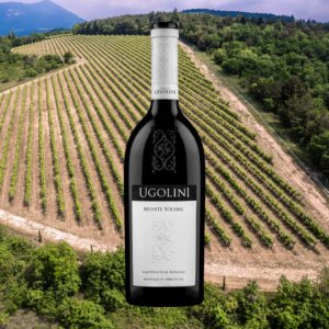 MOUNT SOLANE 2017 Valpolicella Classico Ripasso DOC