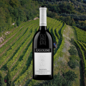 VALLE ALTA 2012 Amarone della Valpolicella Classico DOCG