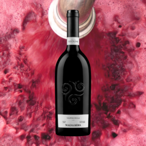 MAGNA MÒRA 2020, Valpolicella Classico