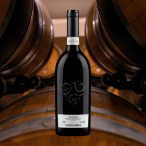 MAGNA MÒRA 2015, Amarone della Valpolicella