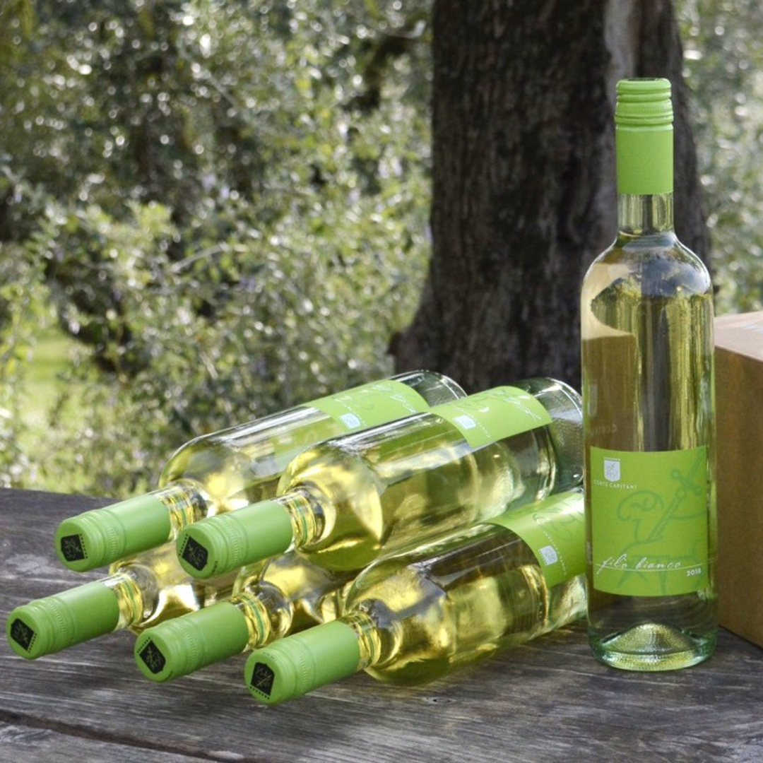 Filò Bianco – IGT Bianco Verona