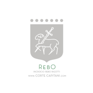 Rebo – Red Veneto IGT