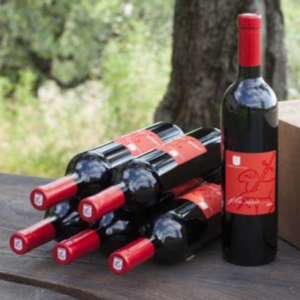 Filò Rosso – Red Verona IGT