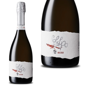 Valdobbiadene Prosecco Superiore DOCG – Dry - DELìGO